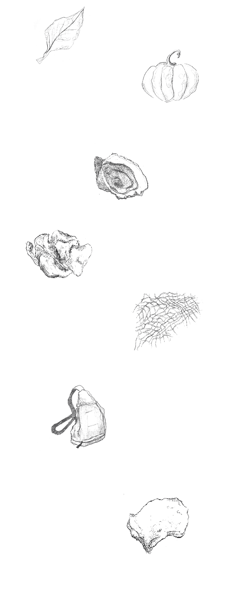 dibujos